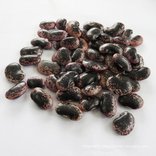 Scarlet runner bean kidney beans